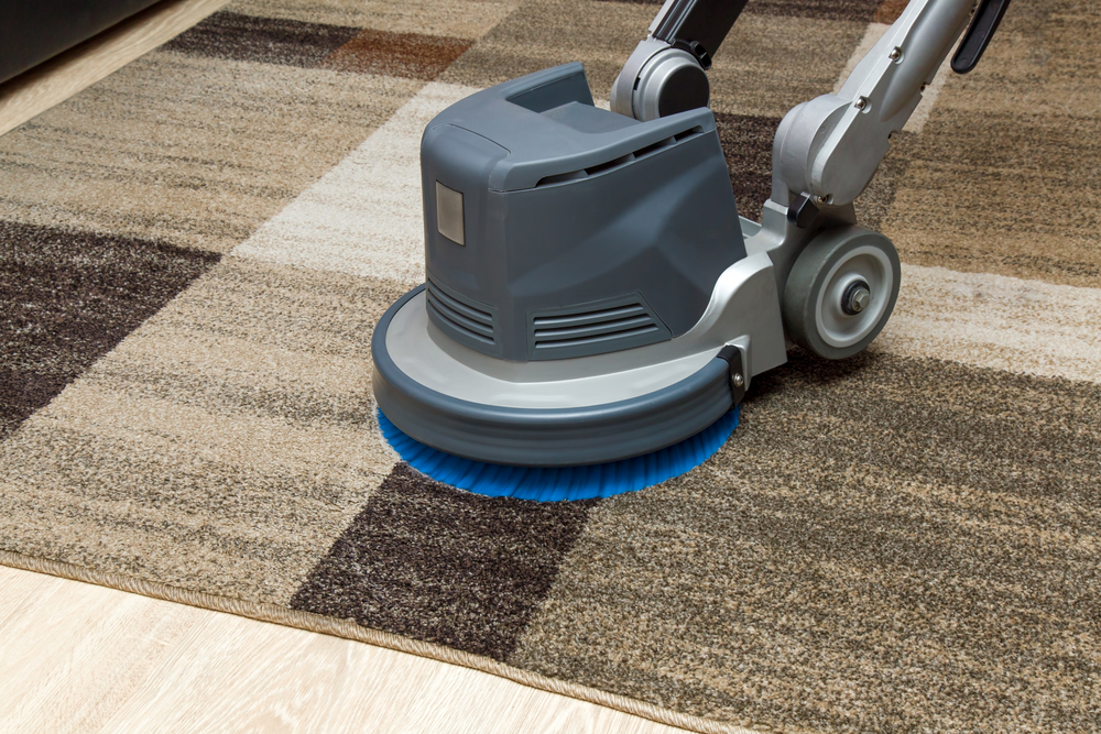 Purity Carpet Cleaning | 3-5 Kandy Ave, Epping NSW 2121, Australia | Phone: 1300 680 961