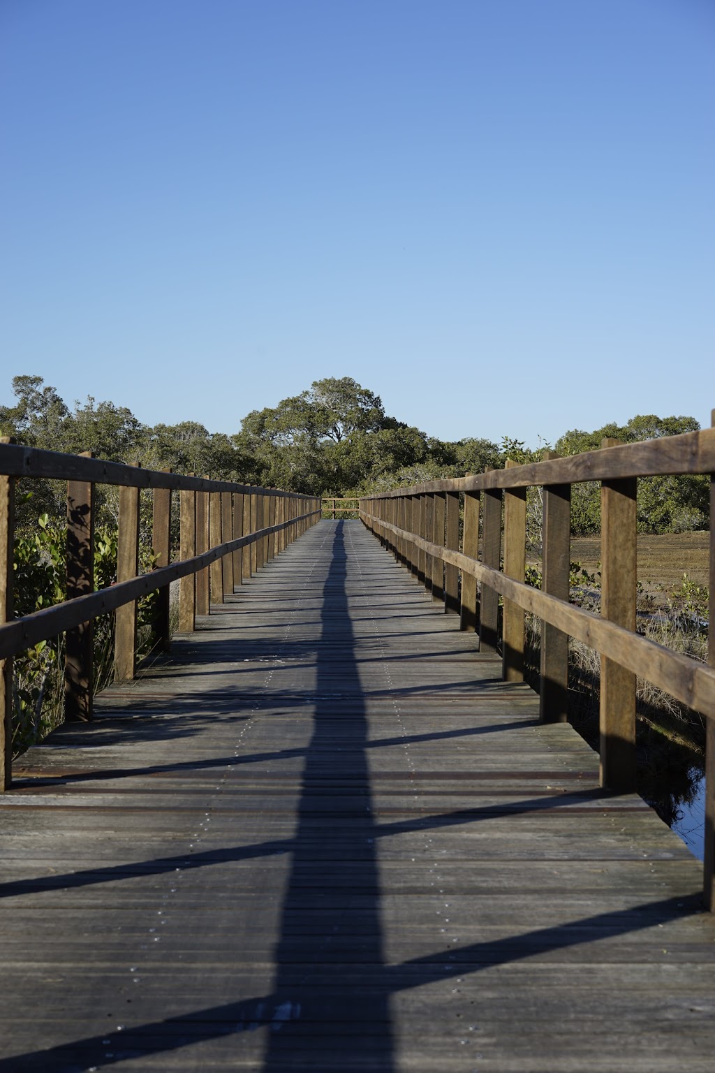 Lota Creek Boardwalk | park | 325 Whites Rd, Lota QLD 4179, Australia