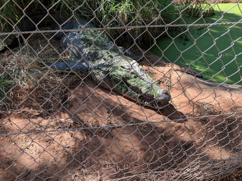 Malcolm Douglas Crocodile Park | park | Broome Rd, Roebuck WA 6725, Australia | 0891936580 OR +61 8 9193 6580