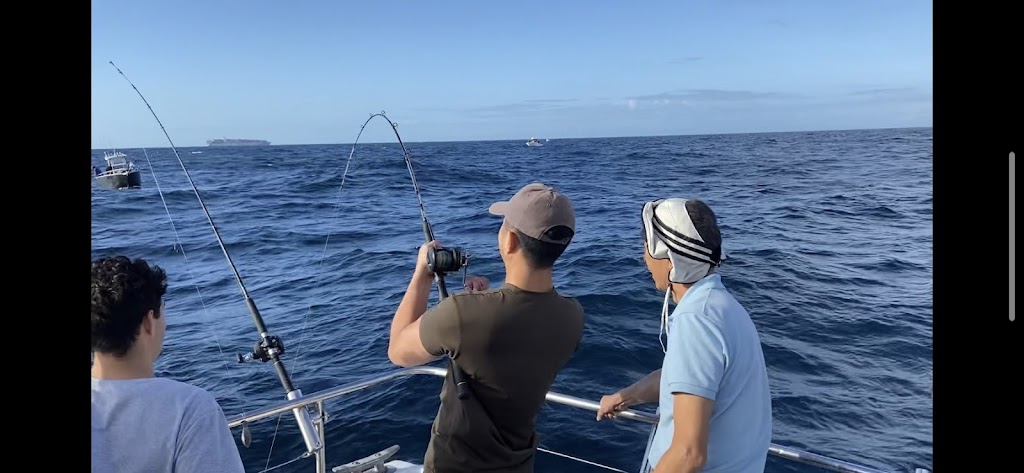 Sydney Charter Fishing | Manly Wharf, Wharf 3, Manly NSW 2095, Australia | Phone: 0450 903 390