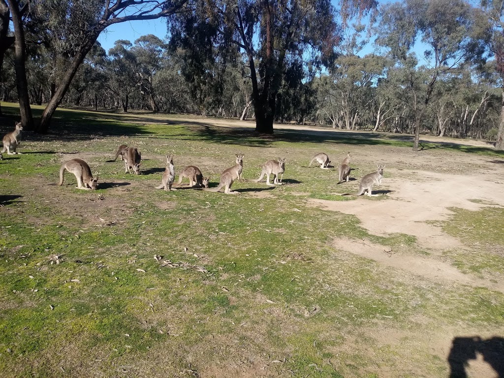 Cohuna Golf Course | Weymouths Rd, Cohuna VIC 3568, Australia | Phone: (03) 5456 2820