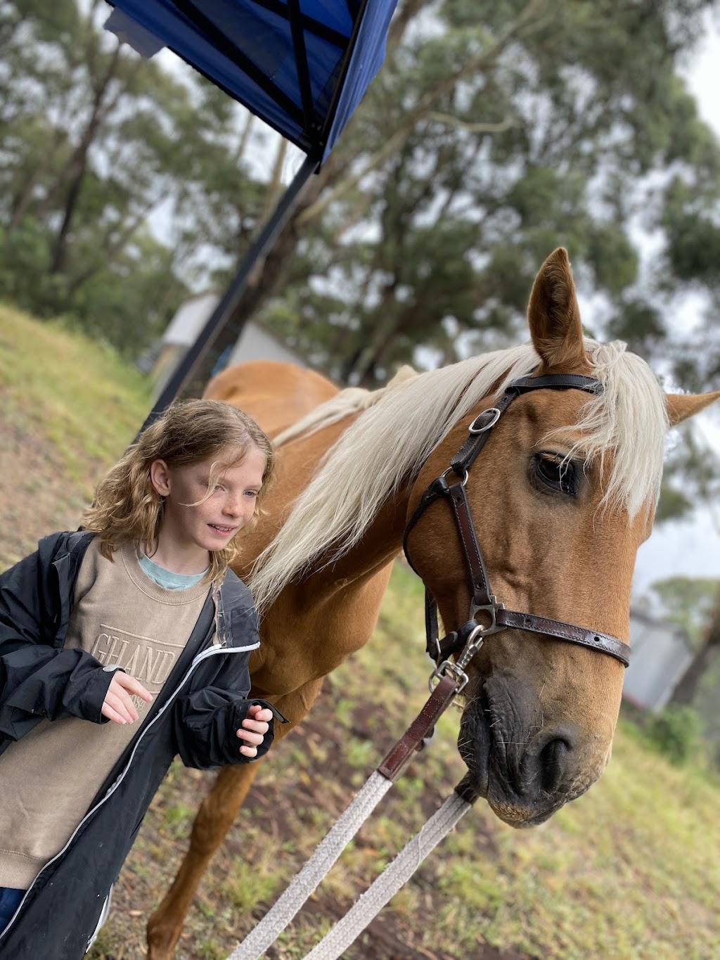 Canyonleigh Trails | 2400 Canyonleigh Rd, Canyonleigh NSW 2577, Australia | Phone: 0490 205 505