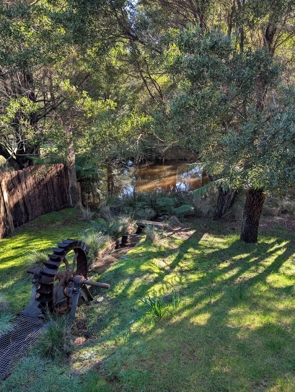 Tailrace Sauna & Plunge | 3 Coxs Ln, Branxholm TAS 7261, Australia | Phone: 0481 182 910