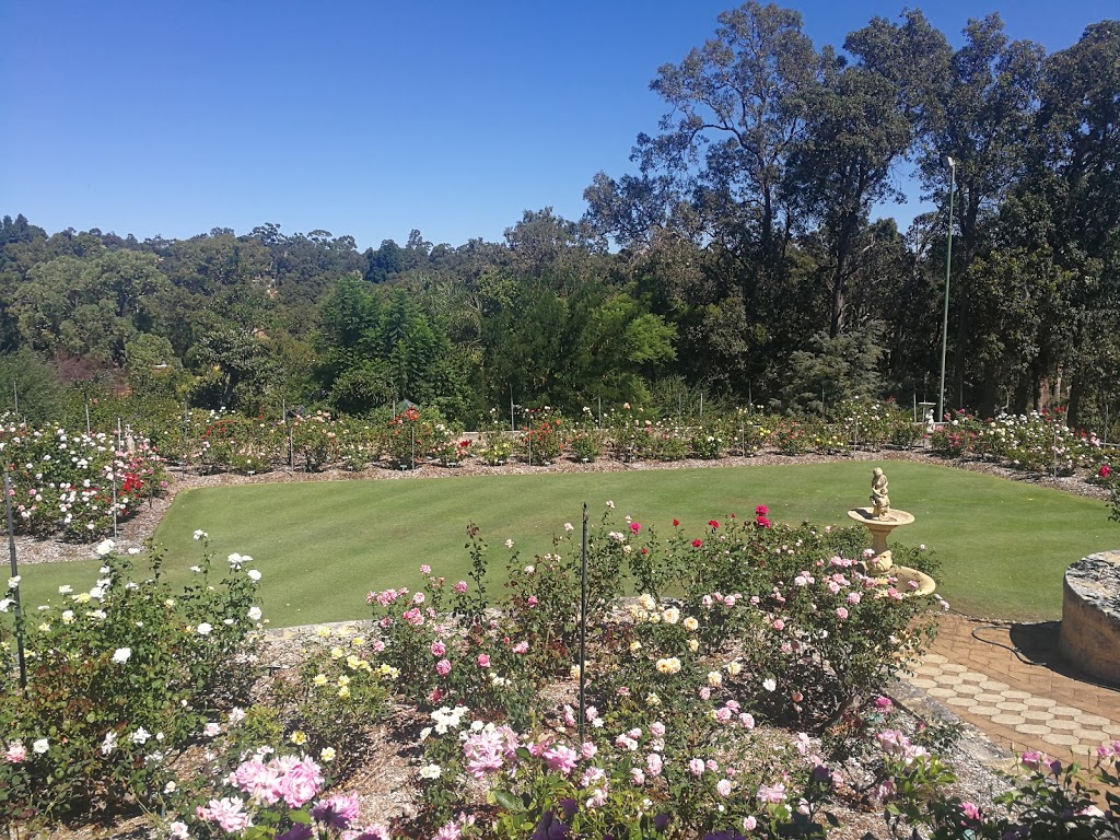 Patsy Duracks Rose Gardens | 33 Parke Rd, Perth WA 6076, Australia | Phone: (08) 9293 2719