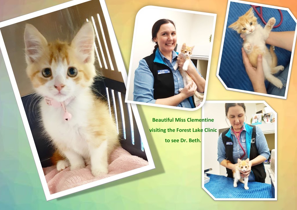 Centenary Vets - Forest Lake | veterinary care | 1/3 The Esplanade, Forest Lake QLD 4078, Australia | 0732787406 OR +61 7 3278 7406