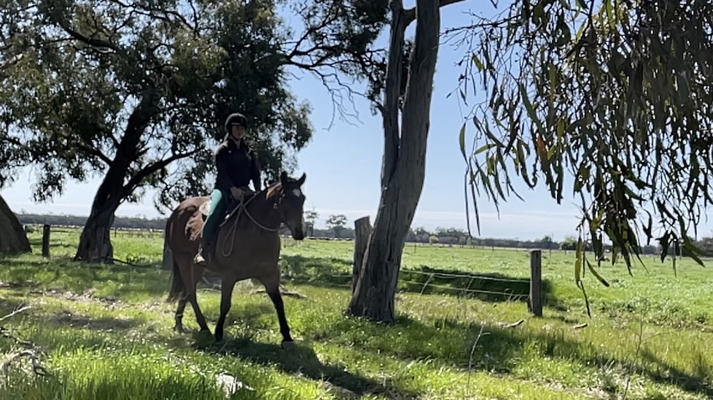 Intrinsic Equine | Everard Rd, Kyabram VIC 3620, Australia | Phone: 0447 431 584