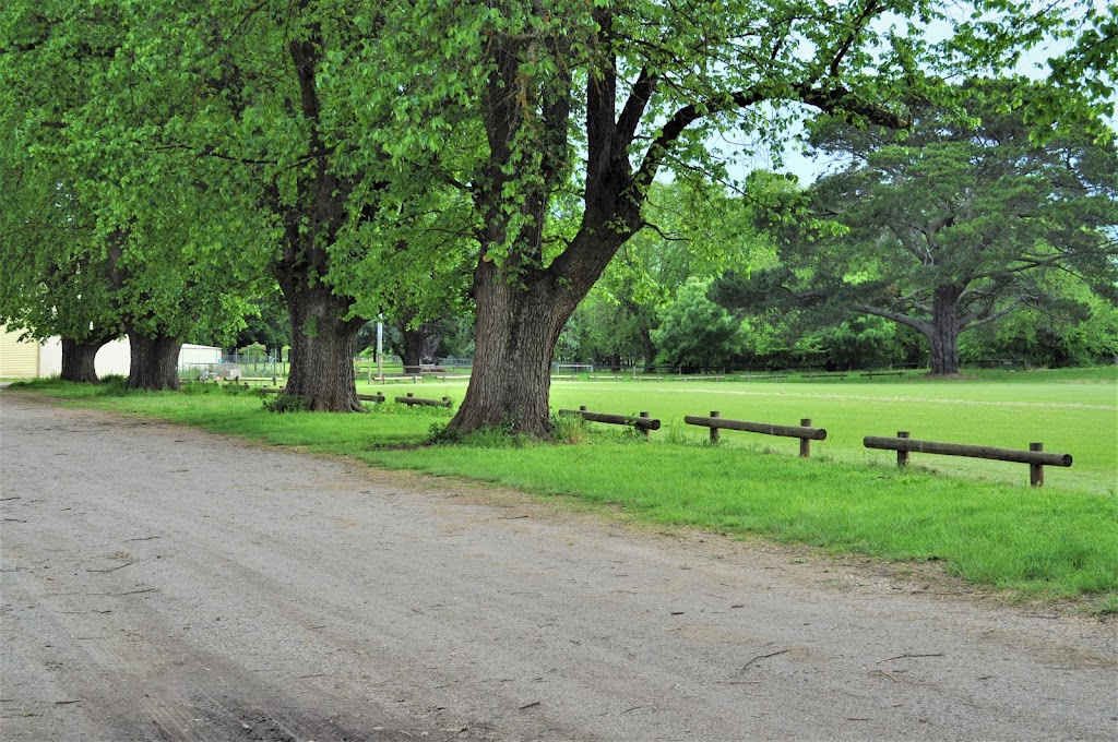 Central Victorian Equine Market | Park St, Lancefield VIC 3435, Australia | Phone: 0402 553 140