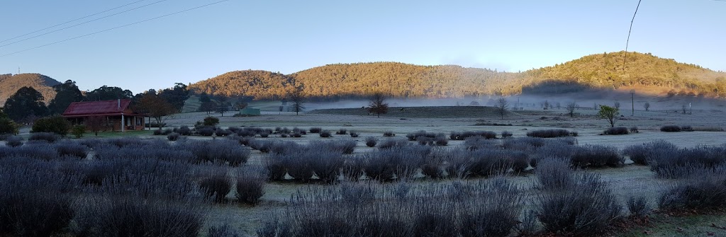high country lavender | 318 Roberts Creek Rd, Porepunkah VIC 3740, Australia | Phone: 0419 005 339