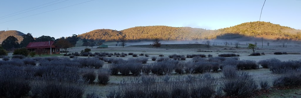 high country lavender | lodging | 318 Roberts Creek Rd, Porepunkah VIC 3740, Australia | 0419005339 OR +61 419 005 339