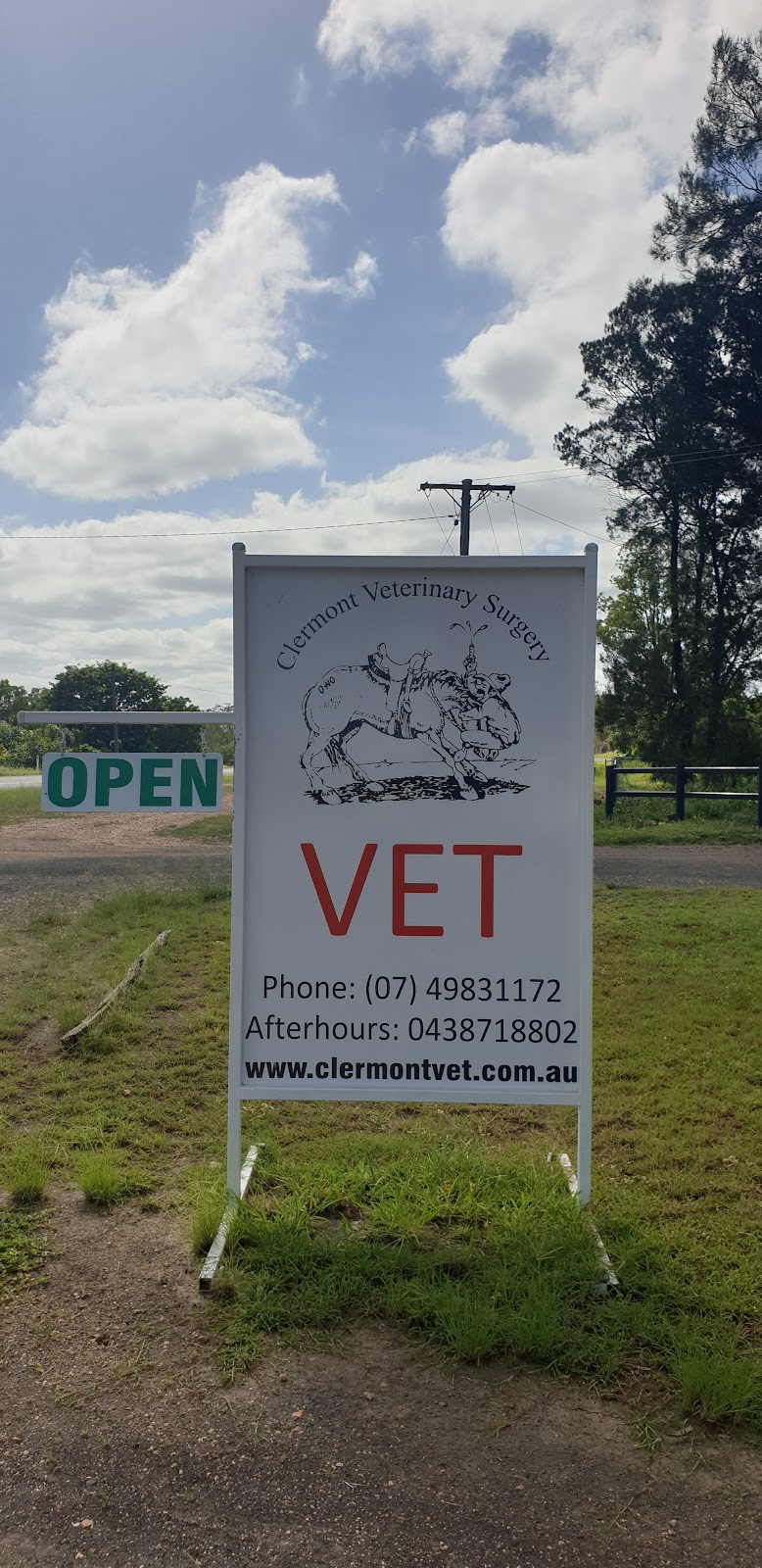 Clermont Veterinary Surgery | 29 Laglan Rd, Clermont QLD 4721, Australia | Phone: (07) 4983 1172
