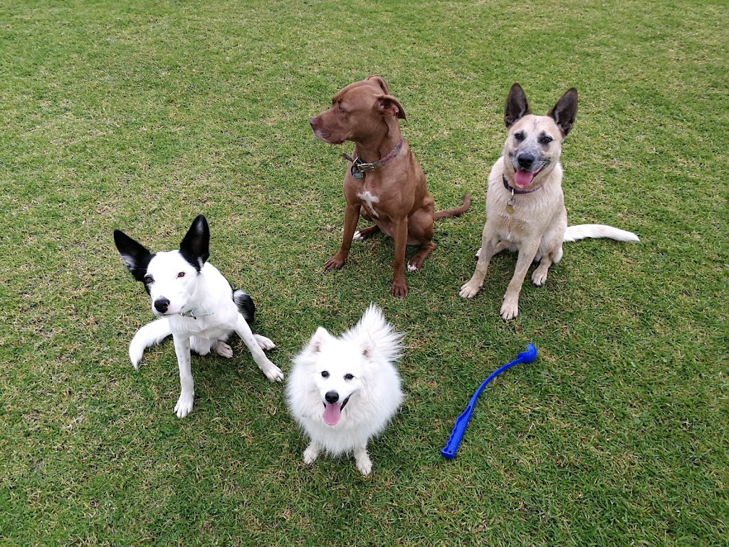 Christopher Walking - Melbourne Dog Walking & Daycare | 23 Hooper Cres, Brunswick West VIC 3055, Australia | Phone: 0476 127 949