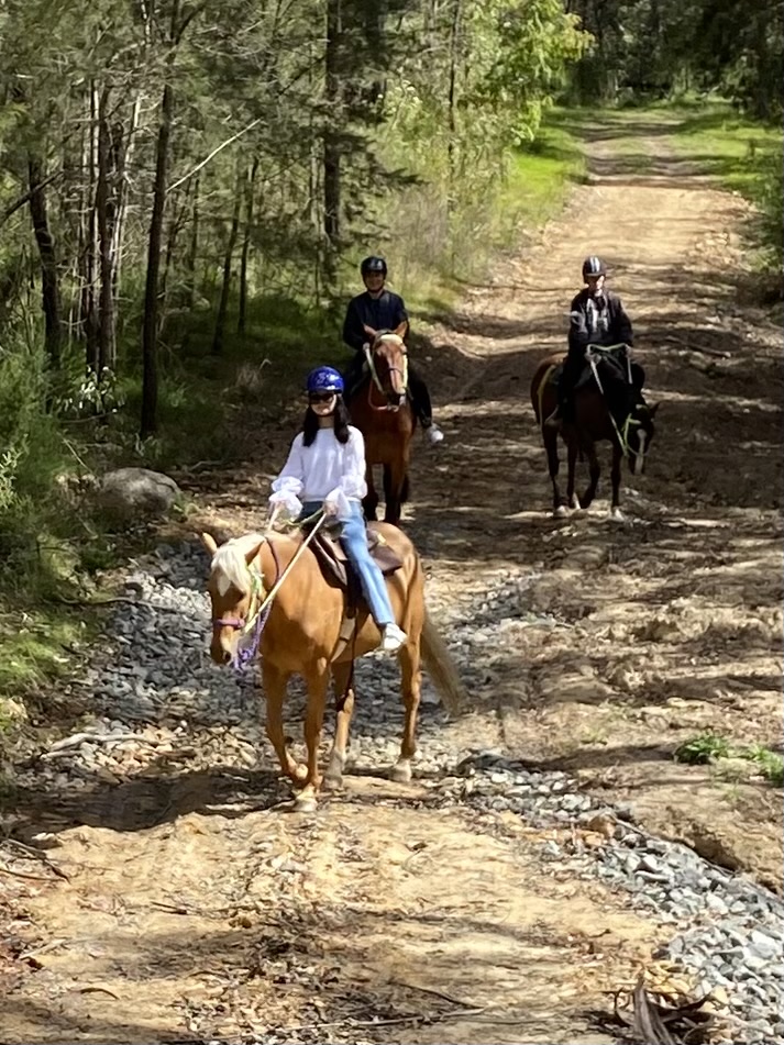 Canyonleigh Trails | 2400 Canyonleigh Rd, Canyonleigh NSW 2577, Australia | Phone: 0490 205 505