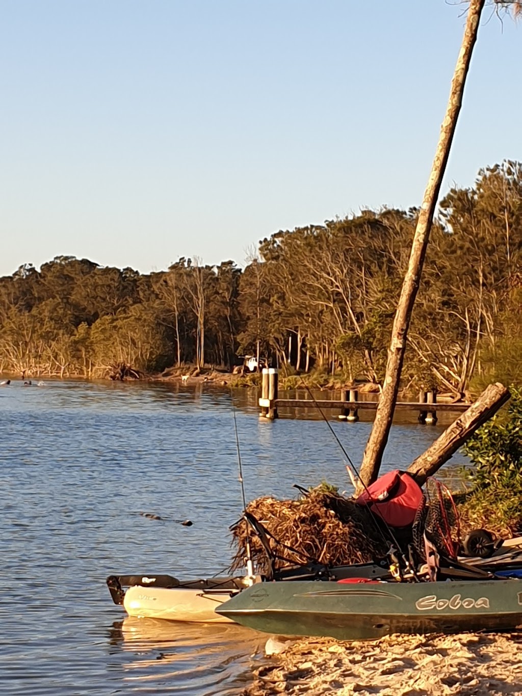 Farquhar Park Camping Ground | Mitchells Island NSW 2430, Australia | Phone: (02) 6591 3500