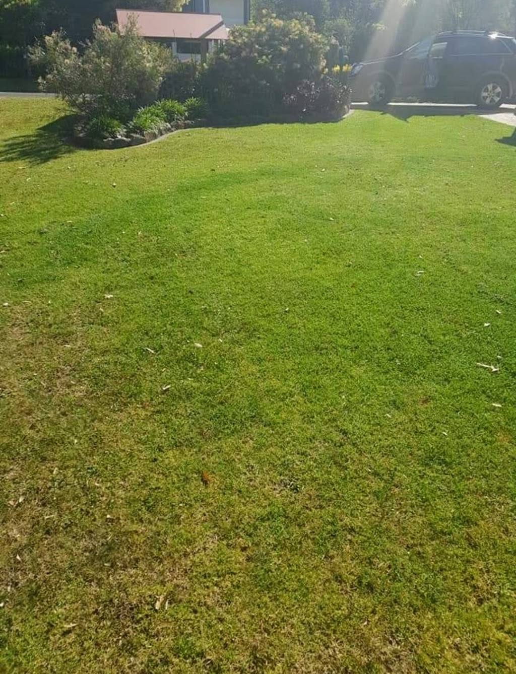 Fairbanks Lawns & Gardens | Beauty Point Rd, Bermagui NSW 2546, Australia | Phone: 0498 206 665