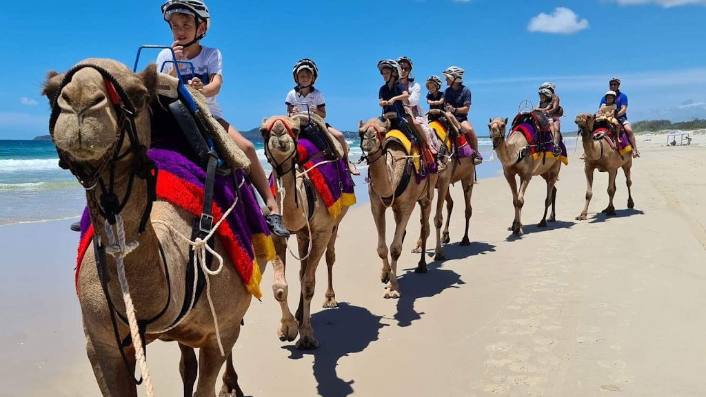 Noosa Camel Rides | 240a Wilderness Track, Noosa North Shore QLD 4570, Australia | Phone: 0407 631 682