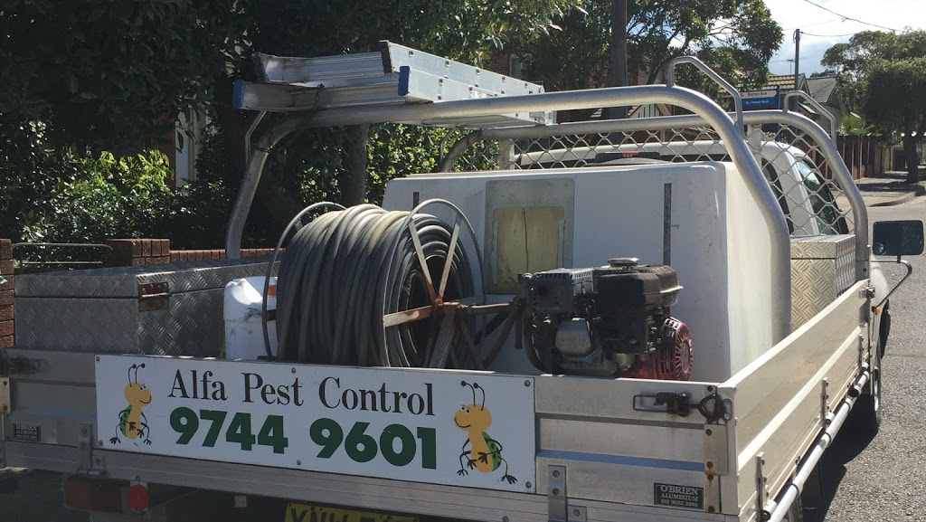 Alfa Pest Control | 50 Baker St, Enfield NSW 2136, Australia | Phone: 0403 092 275