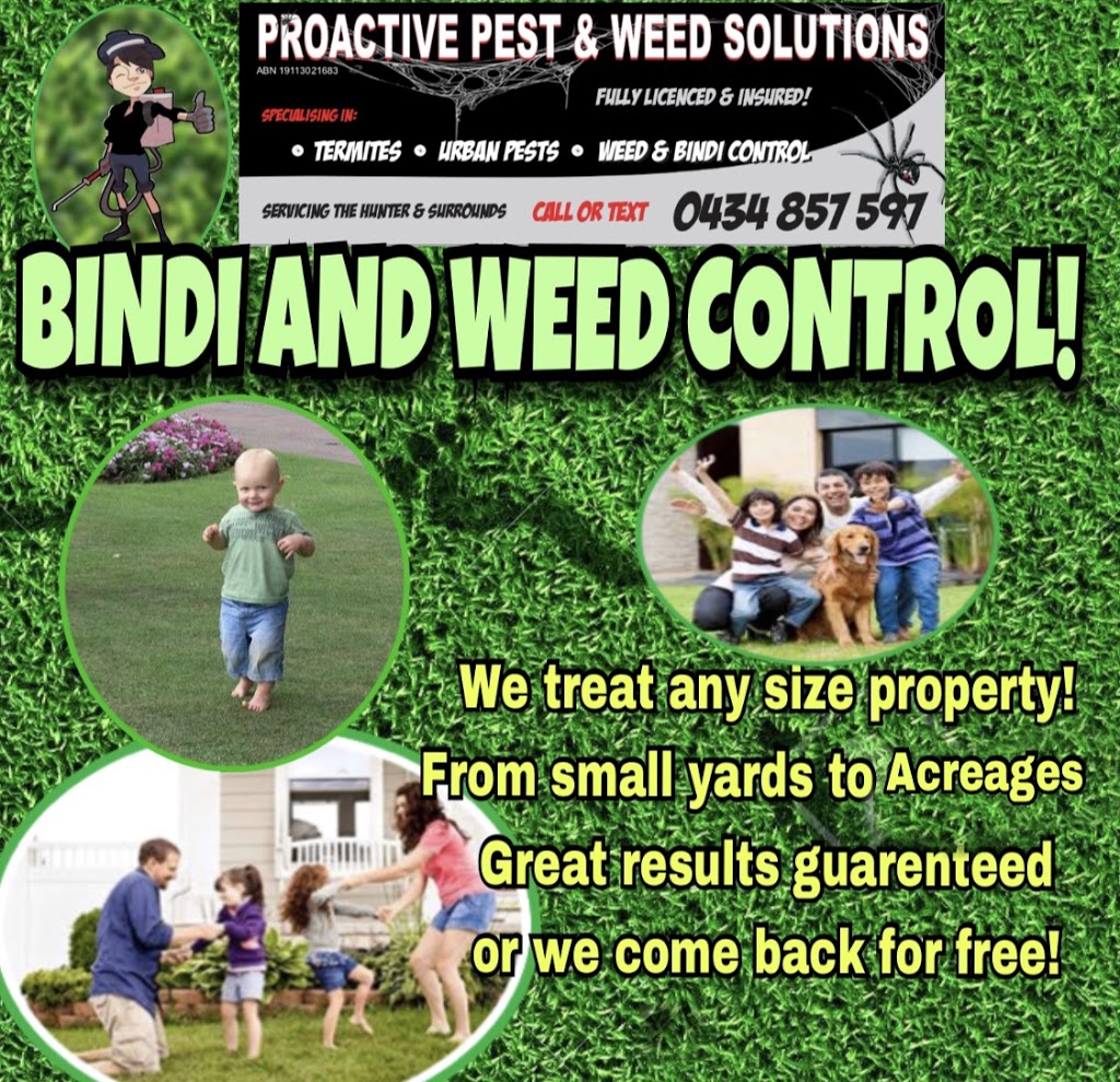 Proactive Pest And Weed Solutions | 38 Macquarie Ave, Cessnock NSW 2325, Australia | Phone: 0434 857 597