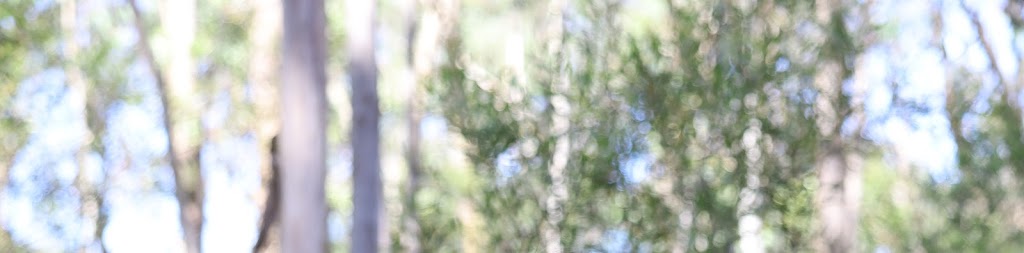 Earthy Haus Design Studio | 81 Evans Lookout Rd, Blackheath NSW 2785, Australia | Phone: 0438 785 087