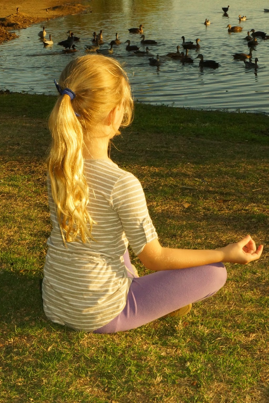 Amanda Meditation | 6-8 Gladstone St, North Parramatta NSW 2151, Australia | Phone: 0400 711 302