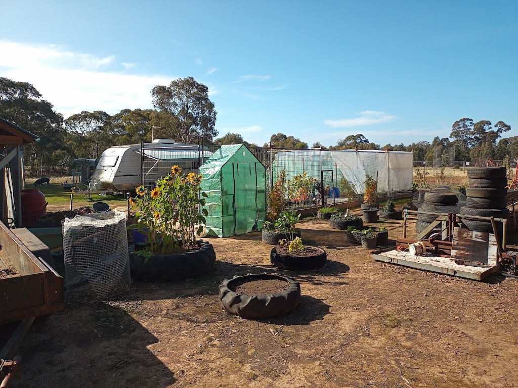 Trevs Farm | 205 Mount View Rd, Goldsborough VIC 3472, Australia | Phone: 0418 566 295
