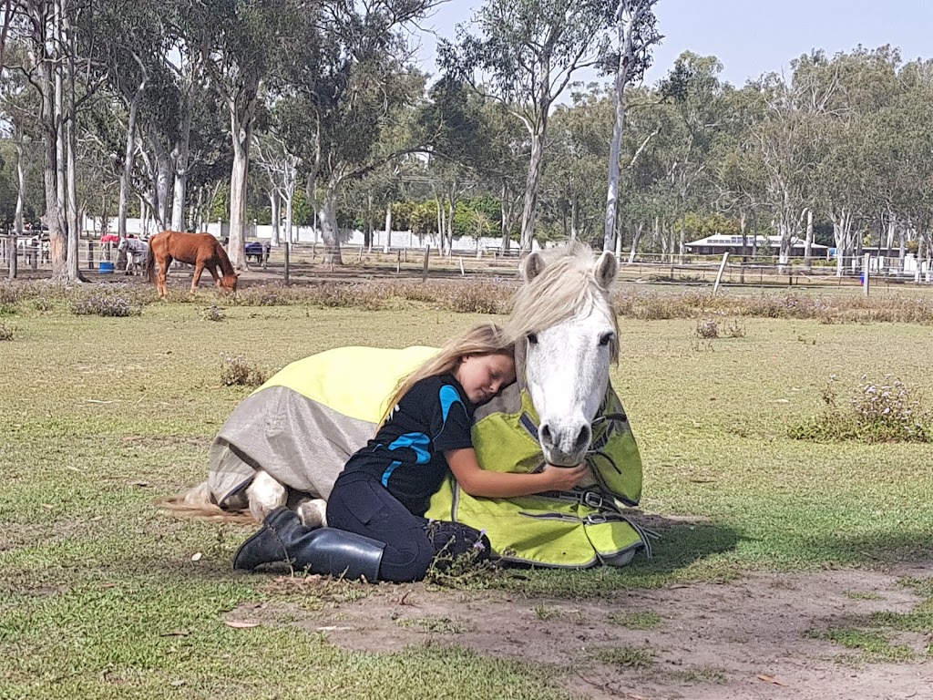 Ethereal Equestrian | 1538 MT Cotton Rd, Burbank QLD 4156, Australia | Phone: 0434 570 330