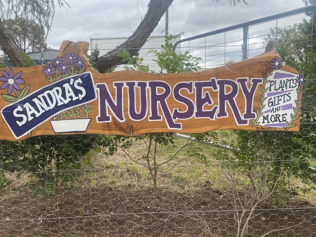 sandras nursery | 141 Witt St, Benalla VIC 3672, Australia | Phone: 0417 315 726