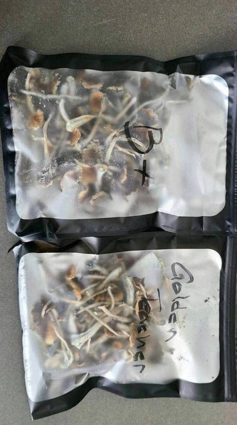 Anthony mushrooms center | Victoria St, Kerang VIC 3579, Australia | Phone: 0430 793 790