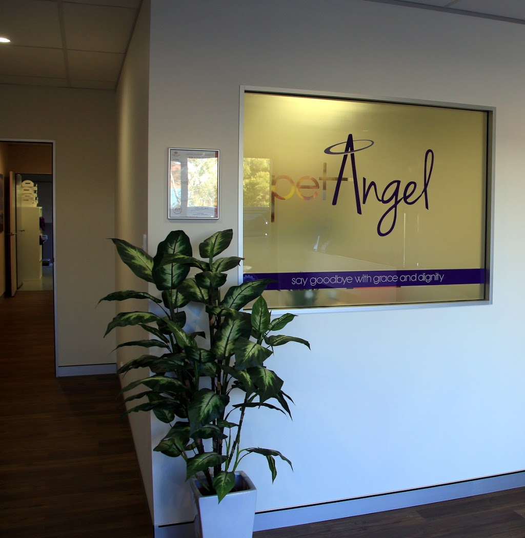 Pet Angel Funerals | funeral home | 3/21 Expansion St, Molendinar QLD 4214, Australia | 1800738264 OR +61 1800 738 264