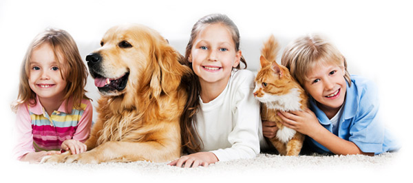 Blacktown Veterinary Hospital | 43 Burnie St, Blacktown NSW 2148, Australia | Phone: (02) 9622 1200