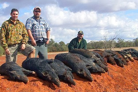 Wandibindle Self guided hunting |  | Wandibindle, Wandibindle Road, Talwood QLD 4496, Australia | 0746259658 OR +61 7 4625 9658