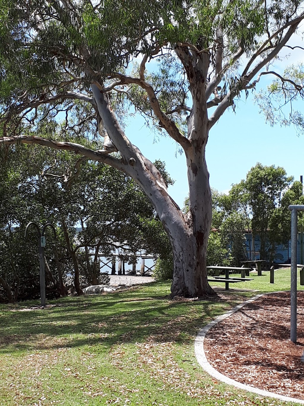 Pumistone Park | park | 1 Esplanade N, Donnybrook QLD 4510, Australia