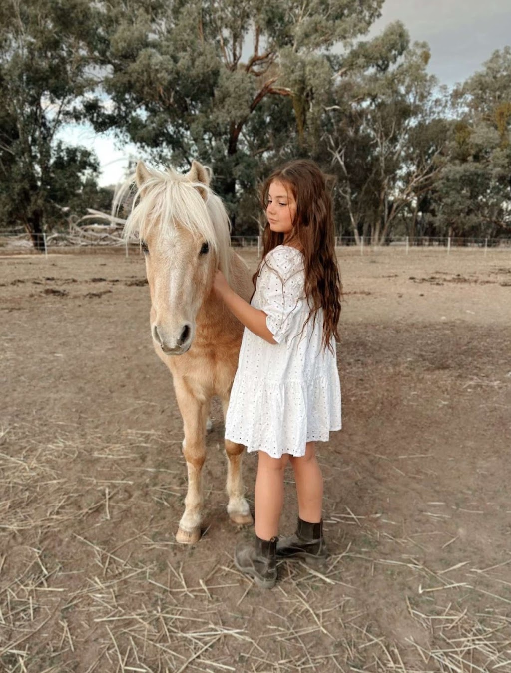 JW Equestrian | 109 Ryans Access Rd, Barnawartha VIC 3688, Australia | Phone: 0418 415 159