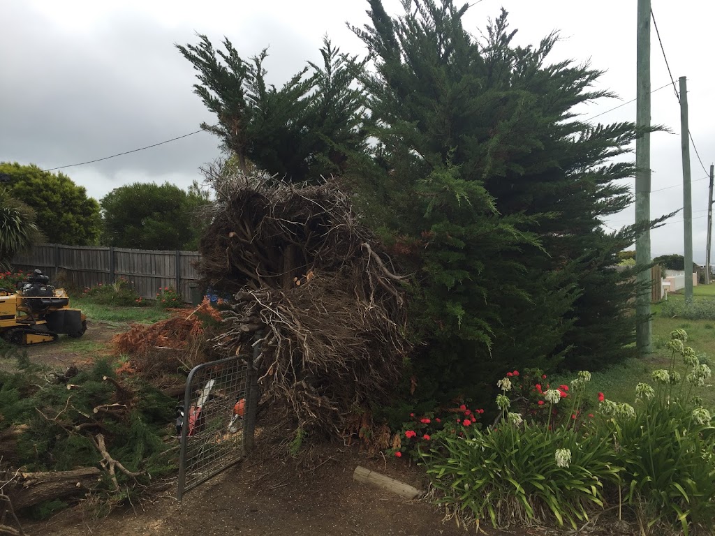 Affordable Stump Removals | 2 High Sunderland Cres, Dromedary TAS 7030, Australia | Phone: 0427 667 790