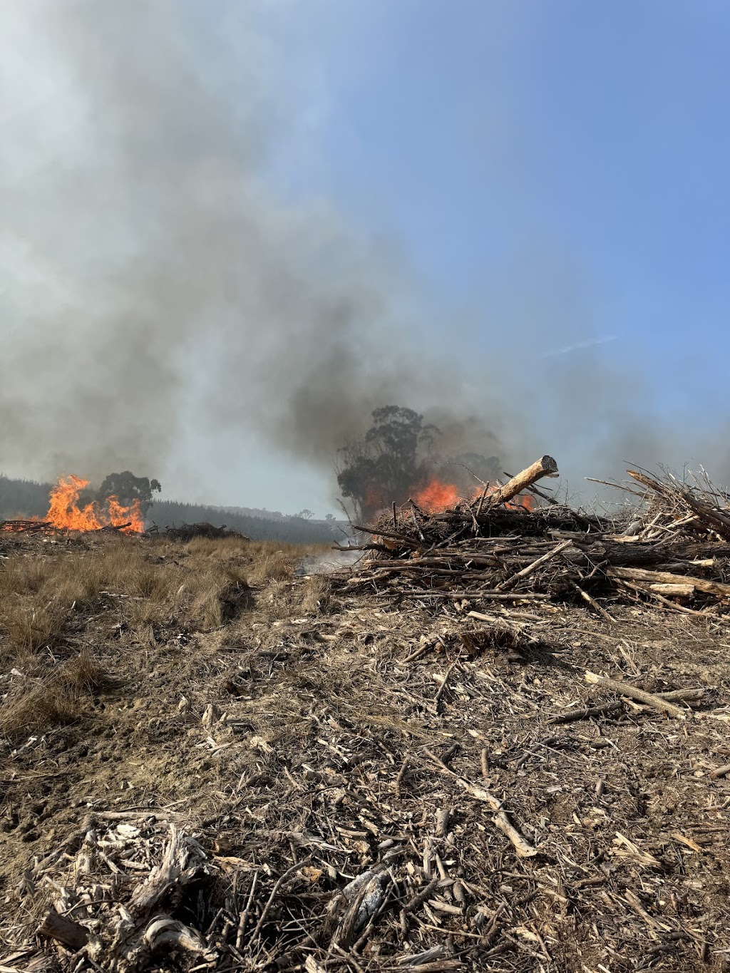 Bush Fire Prevention & Mitigation NSW | Newbridge NSW 2795, Australia | Phone: 0402 213 800
