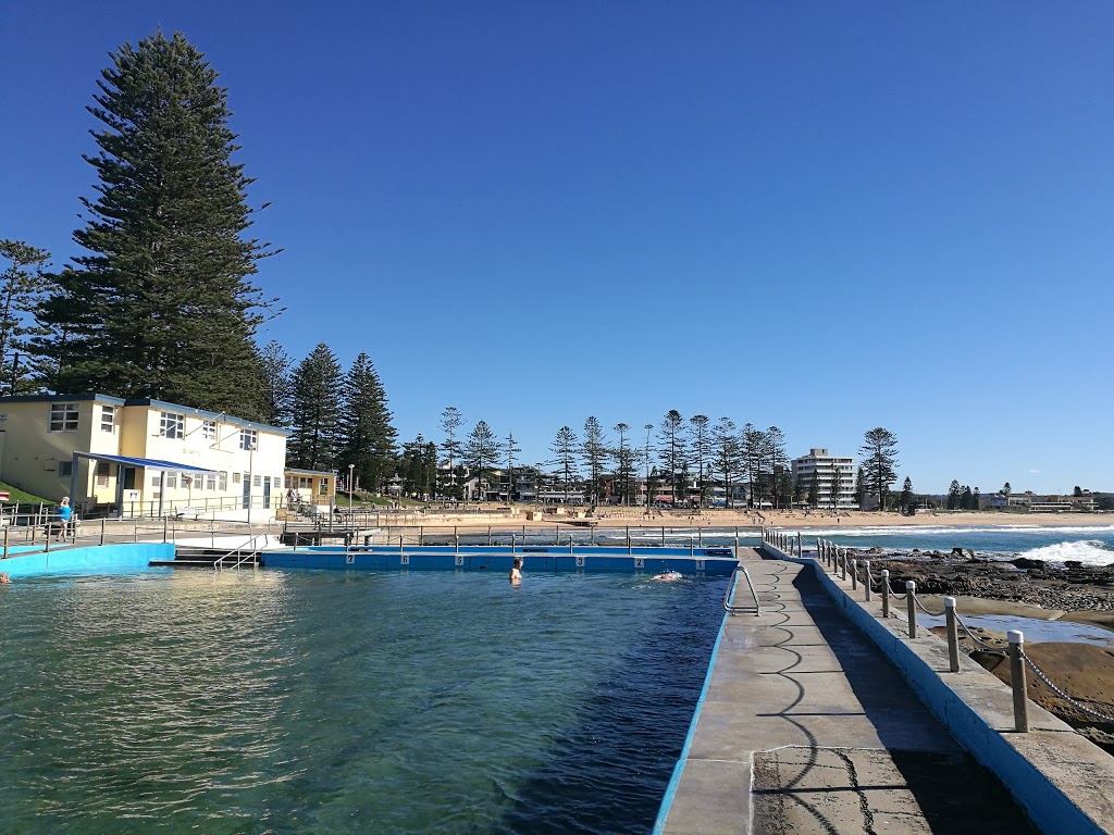 Dee Why Cliff Reserve | park | Dee Why NSW 2099, Australia