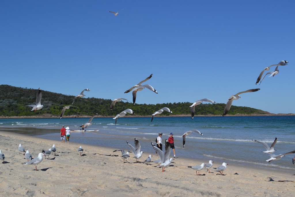 Beachside Holiday parks | campground | 52 Marine Dr, Fingal Bay NSW 2315, Australia | 1800600203 OR +61 1800 600 203