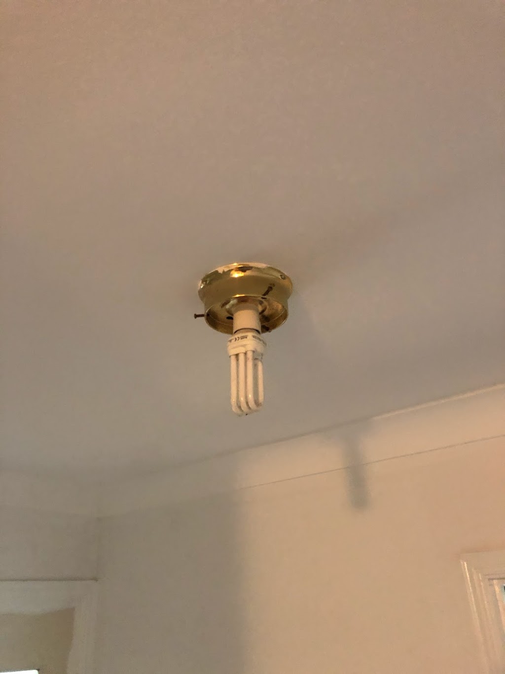 Brendan Pugh Painting | 43 Fallbrook St, Kenmore QLD 4069, Australia | Phone: 0421 379 380