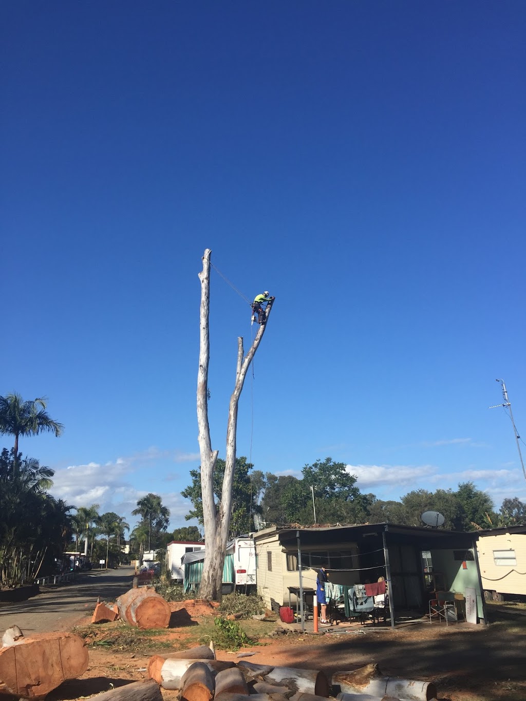 Gold Coast Tree Loppers | Helensvale QLD 4212, Australia | Phone: 0411 722 434