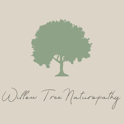 Willow Tree Naturopathy - Brianna Salmon | health | 9 Mark St, Forster NSW 2428, Australia | 0431278122 OR +61 431 278 122