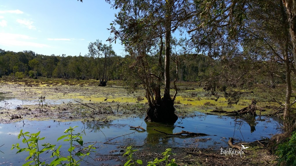 Egret Colony Wetlands | park | 23 Wilson Esplanade, Victoria Point QLD 4165, Australia
