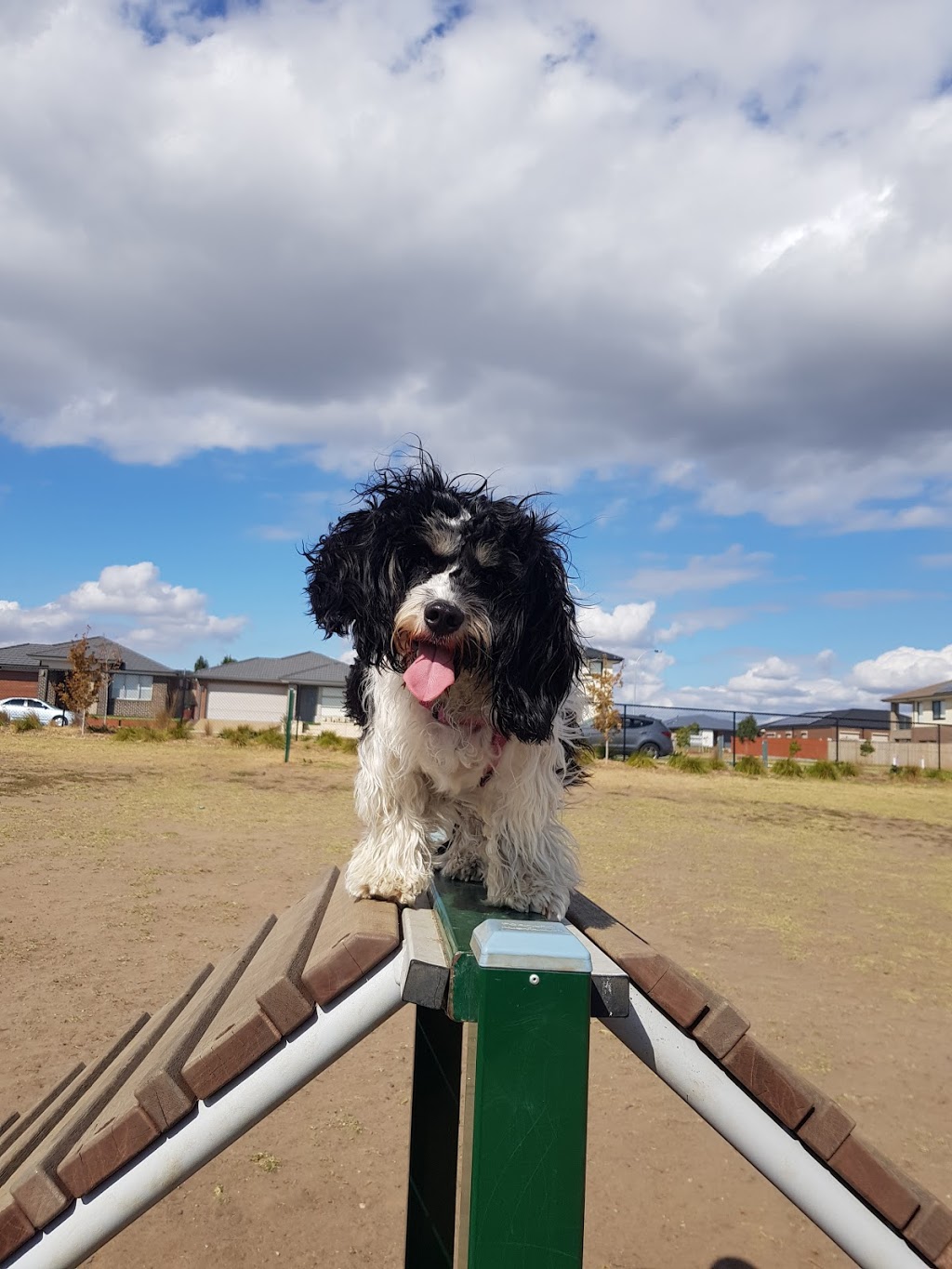 Trueman Reserve Leash Free Area | park | Cranbourne West VIC 3977, Australia