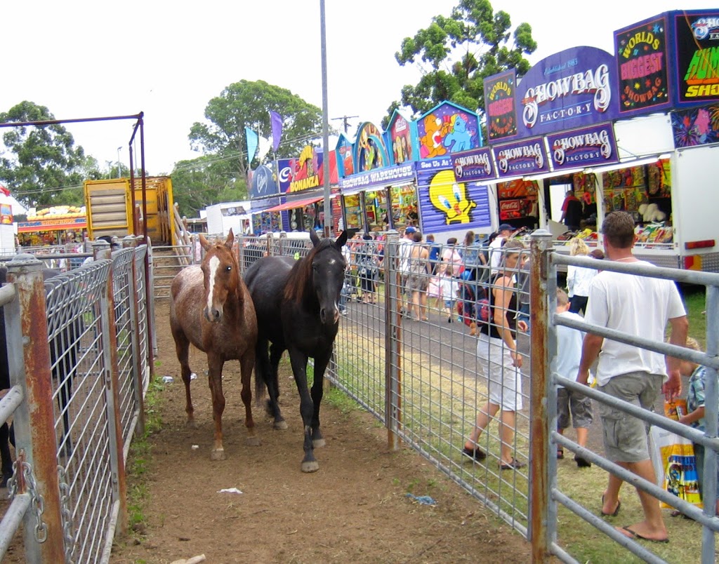 Camden Showground | park | Argyle St, Camden NSW 2570, Australia | 0246558338 OR +61 2 4655 8338