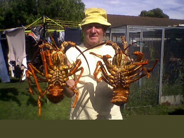 West Coast Diving Victoria | 25 Rodney Rd, North Geelong VIC 3215, Australia | Phone: (03) 5278 5426