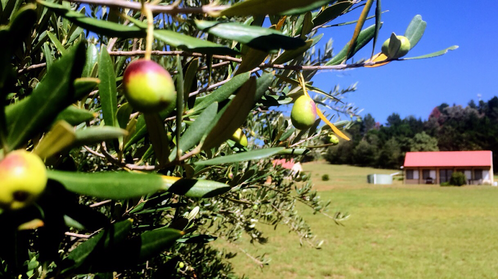 BARELLA CABINS | 334 Kains Flat Rd, Kains Flat NSW 2850, Australia | Phone: 0457 209 597