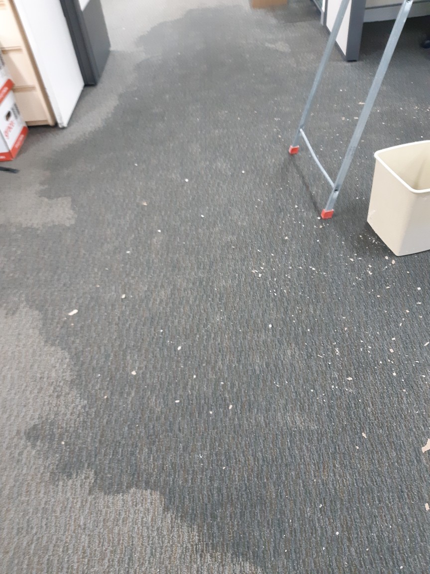 Carpet Water Damage Warehouse | 26 Station St, Dundas NSW 2117, Australia | Phone: 0428 997 684