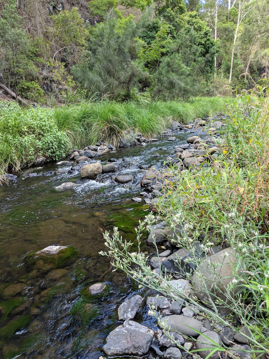 Gradys Creek Paradise Valley Retreat | campground | 1560 Gradys Creek Rd, Loadstone NSW 2474, Australia | 0266366140 OR +61 2 6636 6140