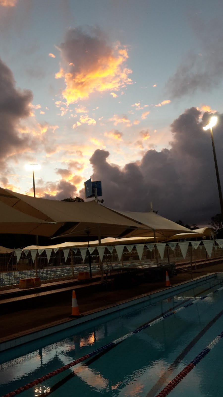 TSS Aquatics | 2 Winchester St, Southport QLD 4215, Australia | Phone: 0404 836 053