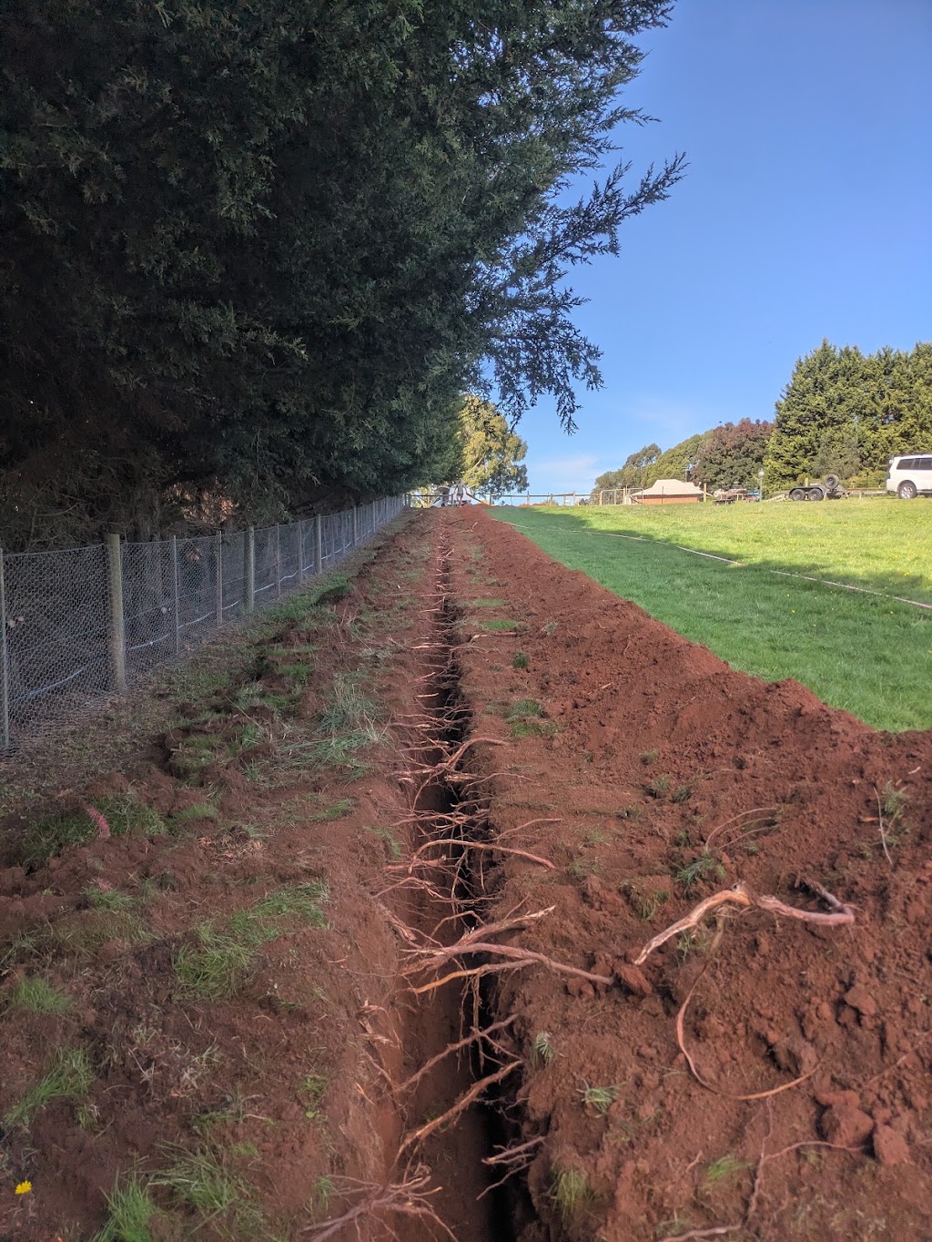 Collard Trade | Seymour VIC 3660, Australia | Phone: 0493 822 322