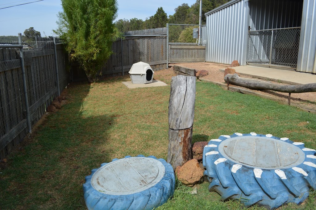 Down South Boarding Kennels | 8 Billinghurst Rd, Donnybrook WA 6239, Australia | Phone: 0437 891 576