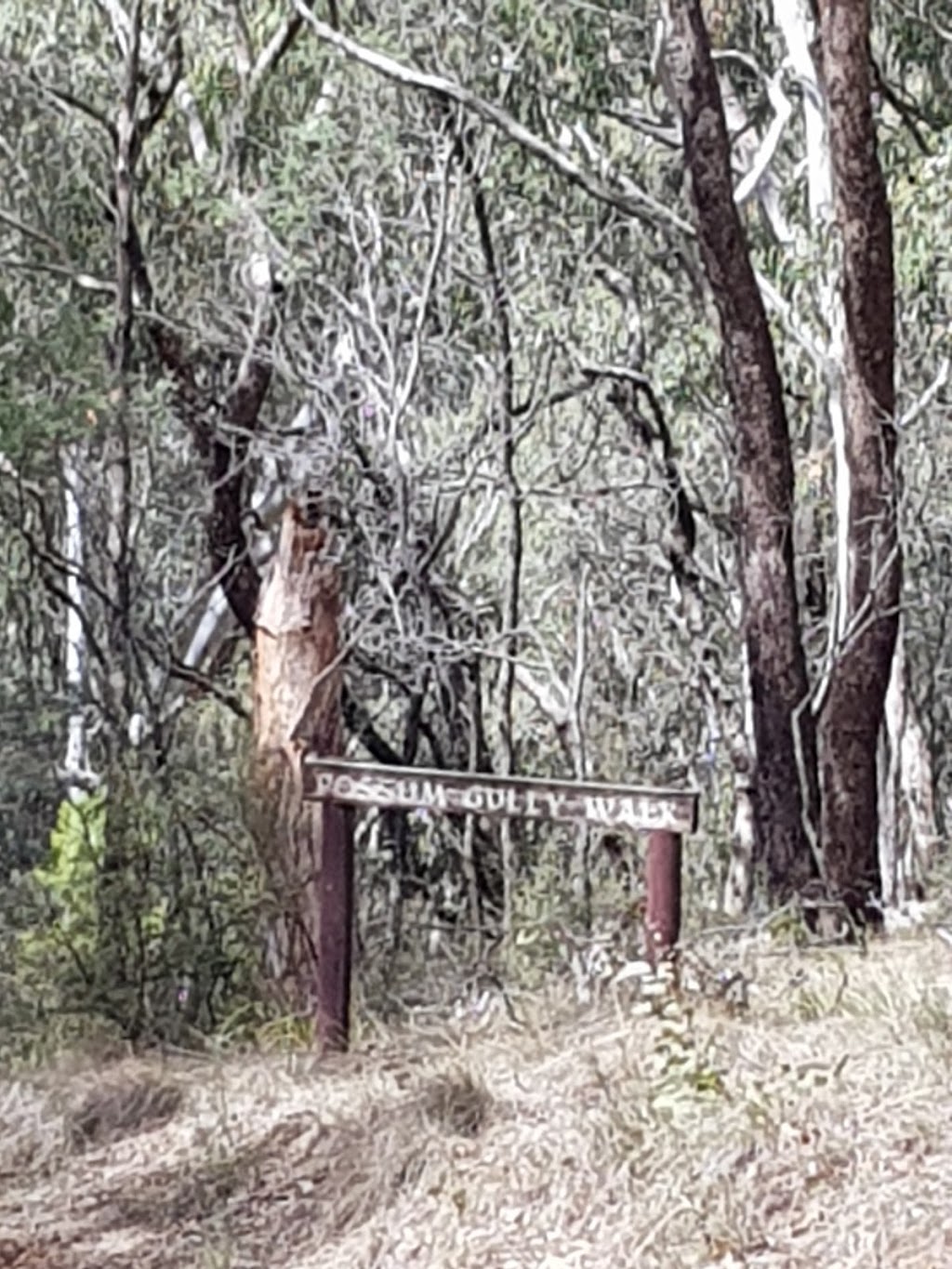 Hanging Rock | park | New South Wales 2340, Australia